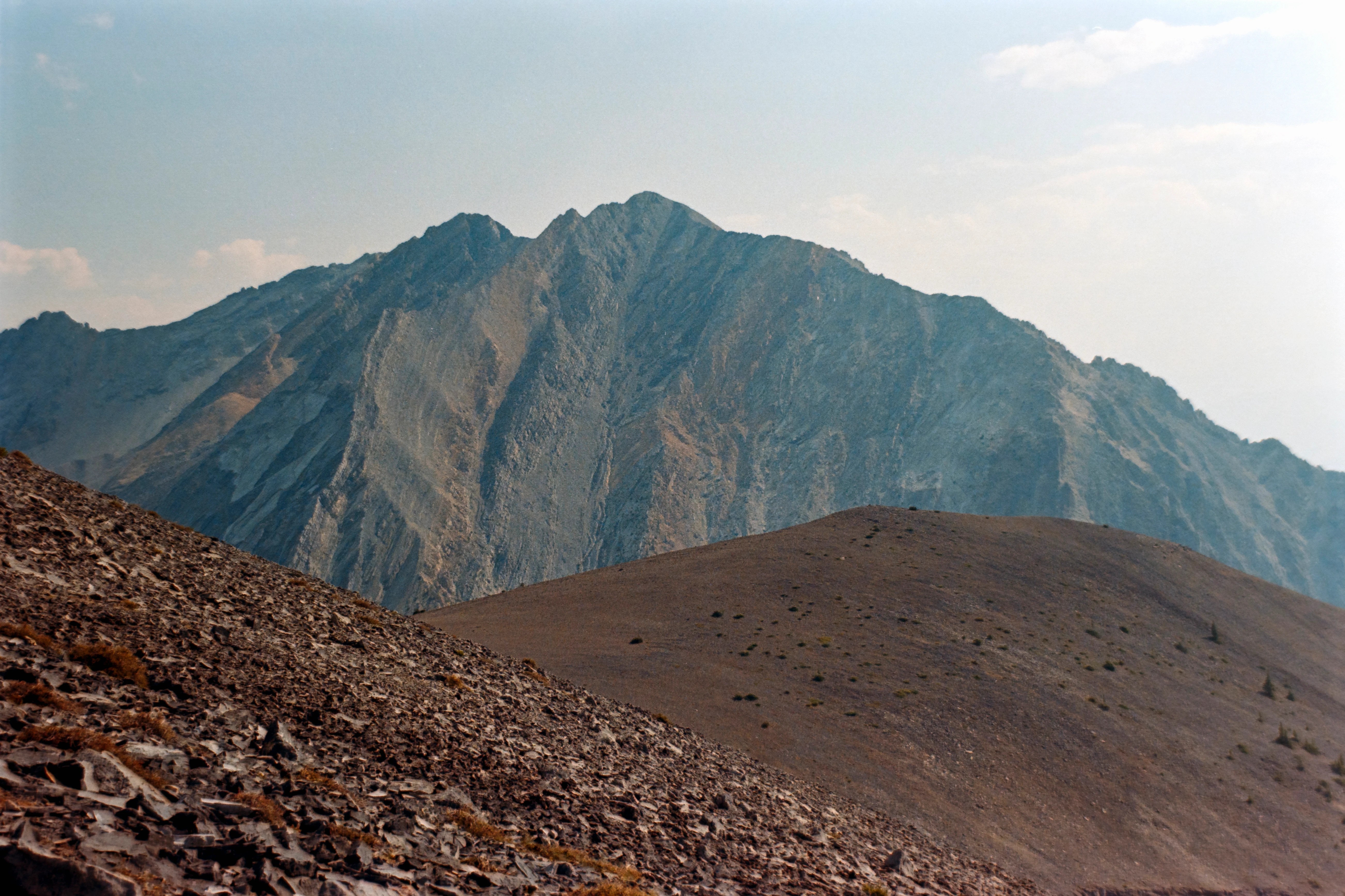 Nature scene 5