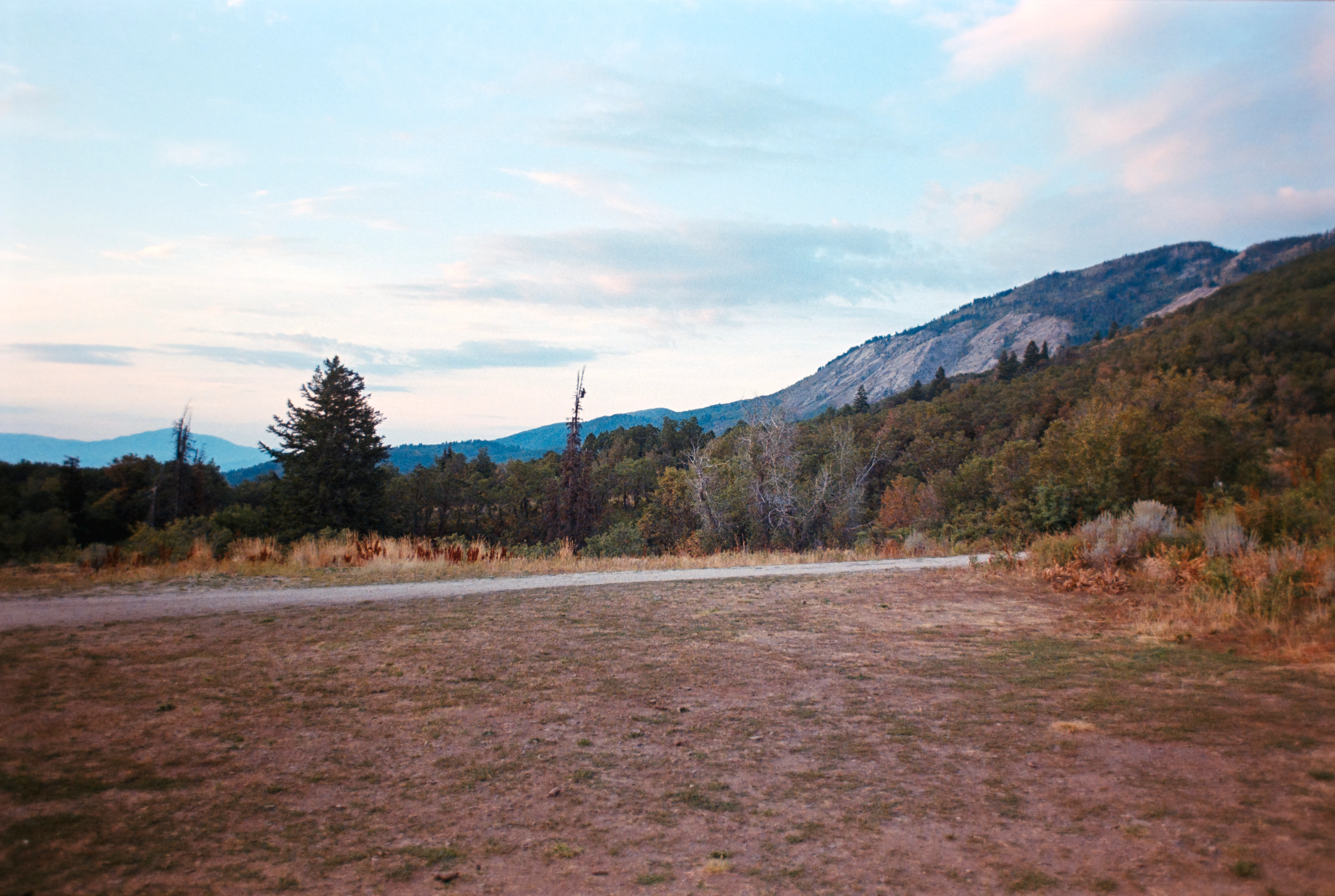Nature scene 3